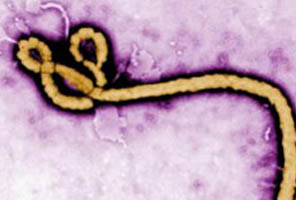 ebola approf oldsite