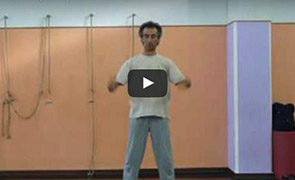 Dao Yin QiGong e organi interni gallery open oldsite