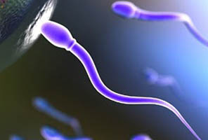 infertilita approf oldsite