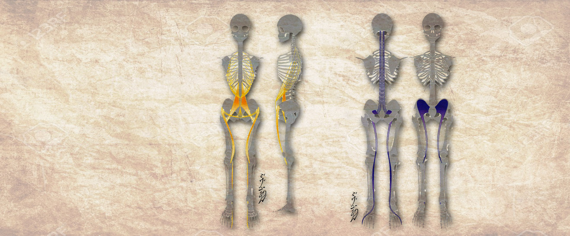 meridiani scheletri topbig oldsite