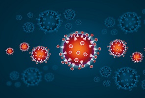 corona virus covid 19