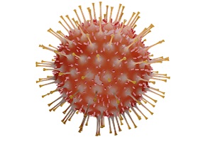 covid19 virus