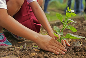 nutrire fertilità femminile in medicina cinese