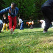 Qigong 951 20170409 Qigong gallery oldsite Qigong 951 20170409 Qigong gallery oldsite